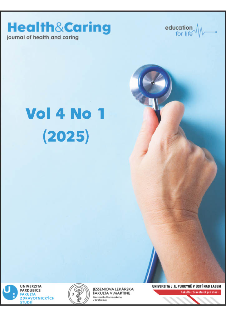 					Náhled Vol 4 No 1 (2025)
				